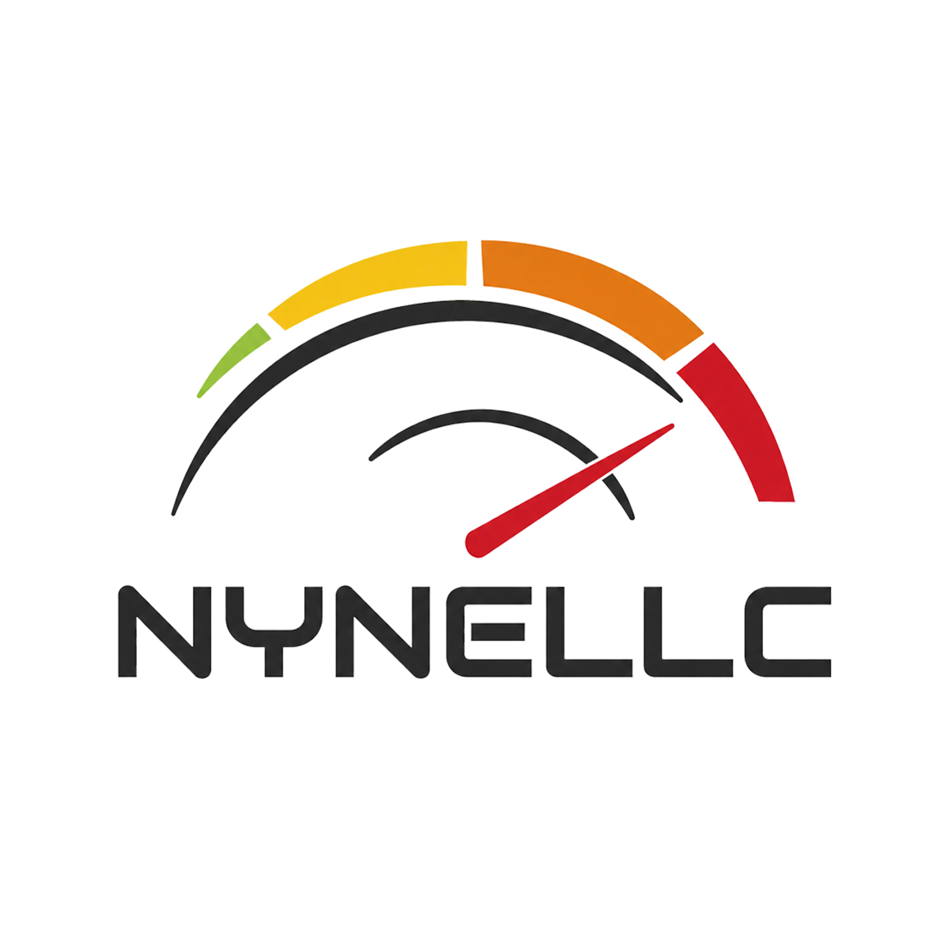 NYNE LLC
